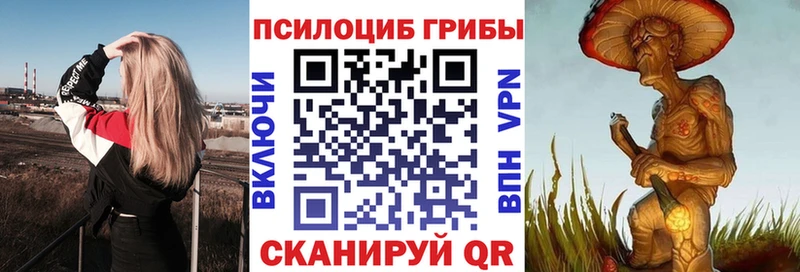 Псилоцибиновые грибы Psilocybine cubensis  купить наркоту  Гвардейск 
