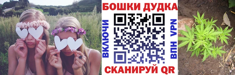 что такое   Гвардейск  маркетплейс официальный сайт  Шишки марихуана конопля 